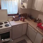 Mickey בית הארחה 3*