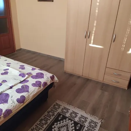 Mickey Guest house